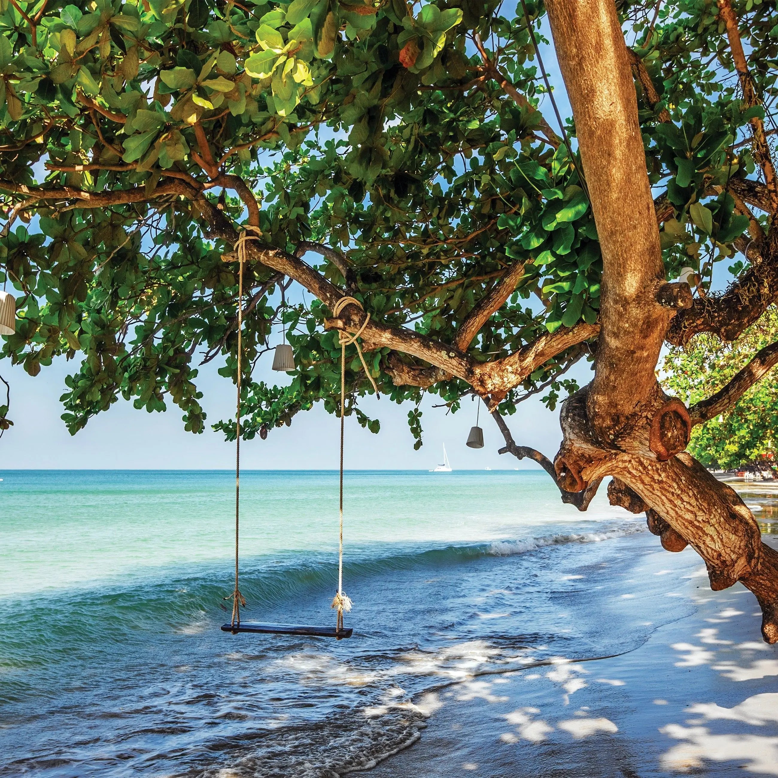 Billede 8 af Fototapet - Strand med gyngende træ ved havet