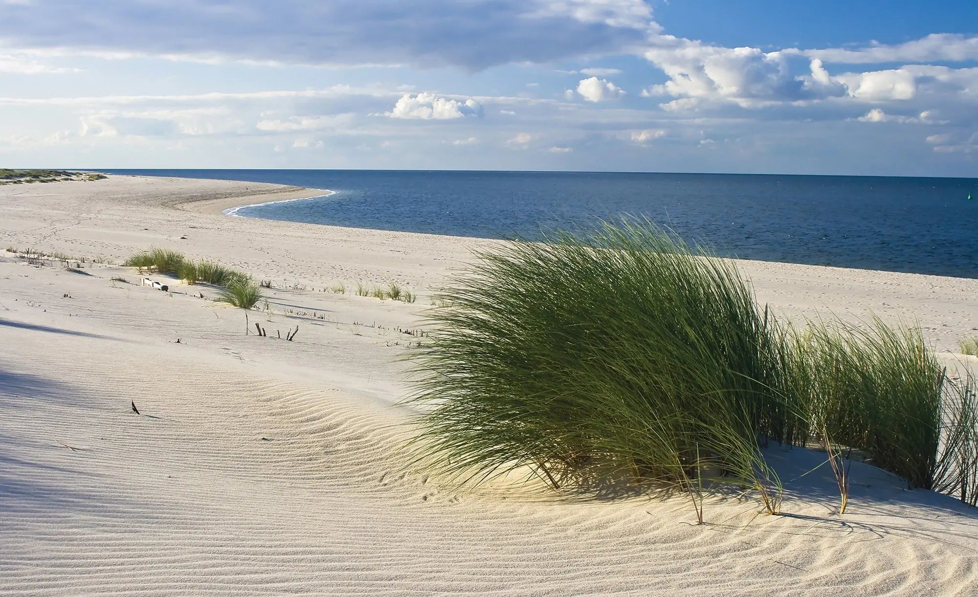 Billede 1 af Fototapet - Strand med klitter og marehalm under blå himmel