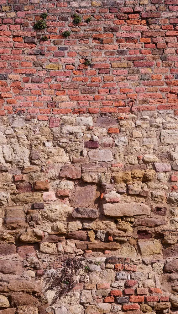 Detaljeret billede af Structured Stone tapet med en rød murstensvæg med ujævne sten og let planteliv mellem stenene.