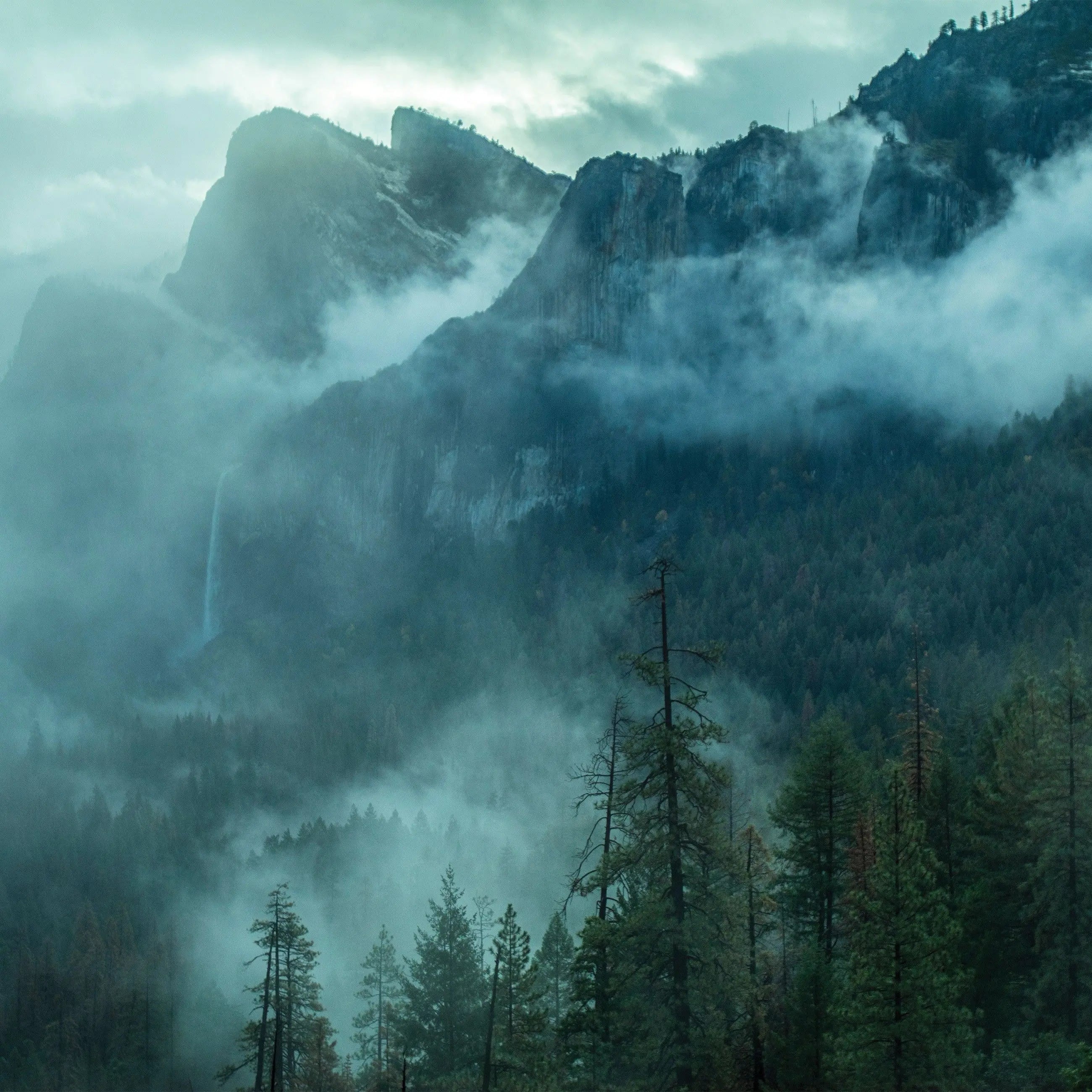 Billede 8 af Fototapet - Tågede bjerge og skov med vandfald i Yosemite