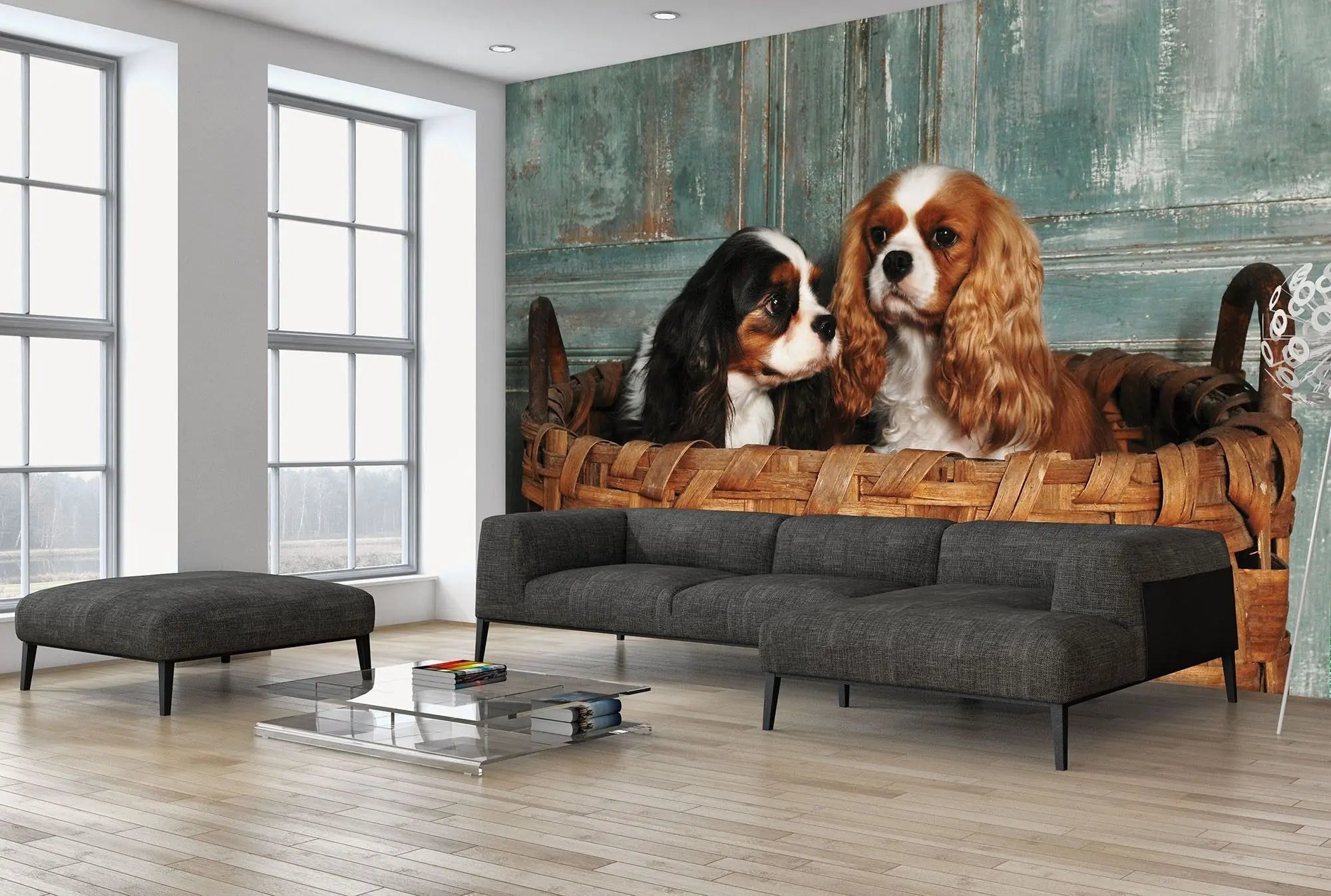 Billede 3 af Fototapet - To cavalier king charles spaniels i flettet kurv