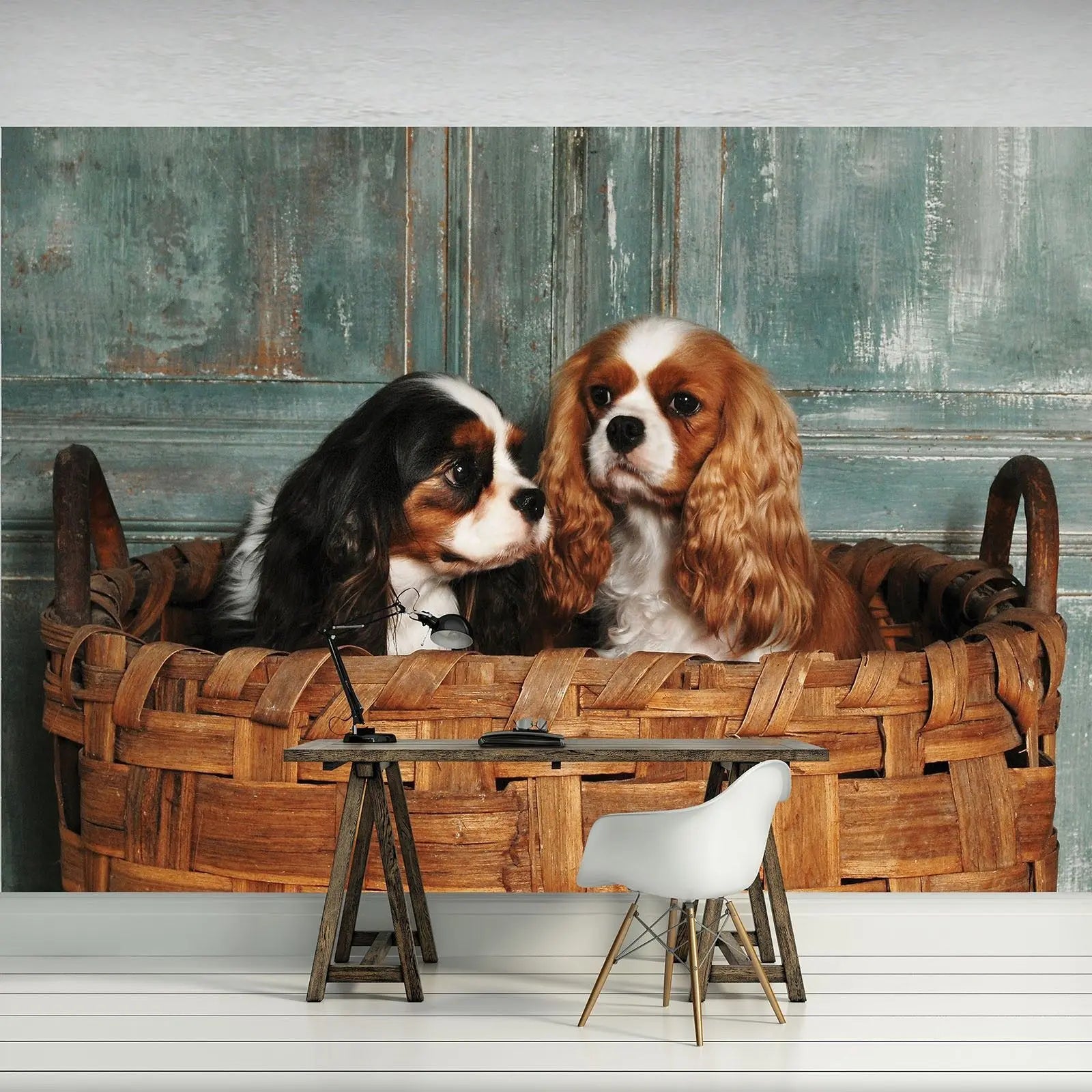 Billede 4 af Fototapet - To cavalier king charles spaniels i flettet kurv