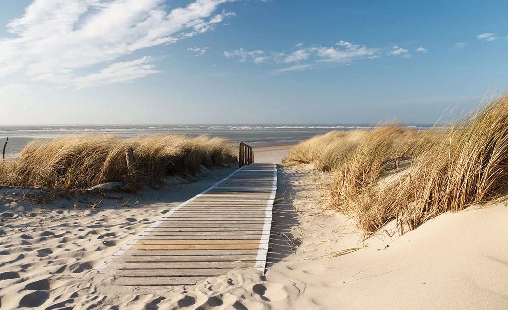 Billede 1 af Fototapet - Trægang over sandklitter mod havet