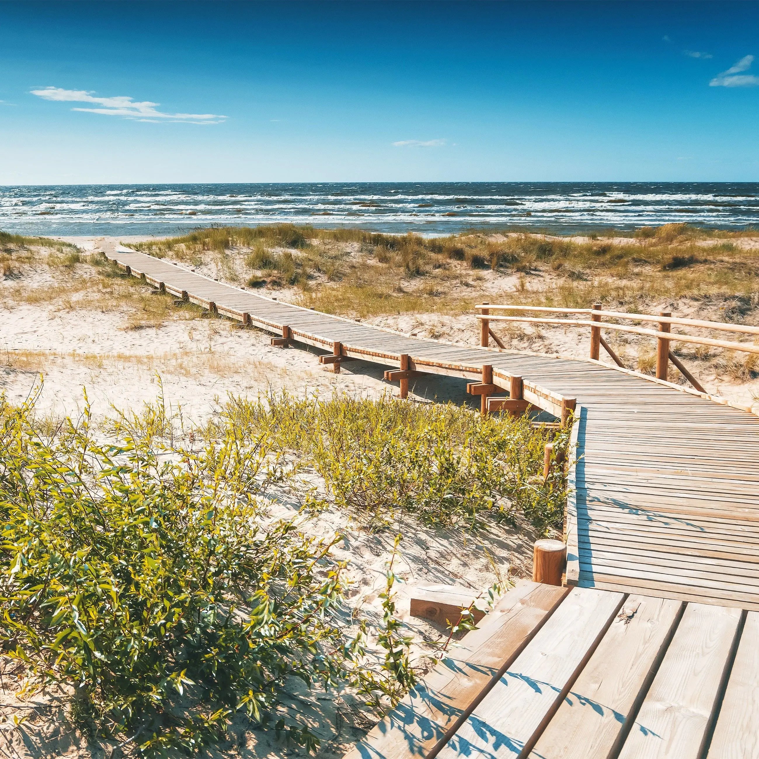 Billede 2 af Fototapet - Træpromenade over sandklitter ved havet