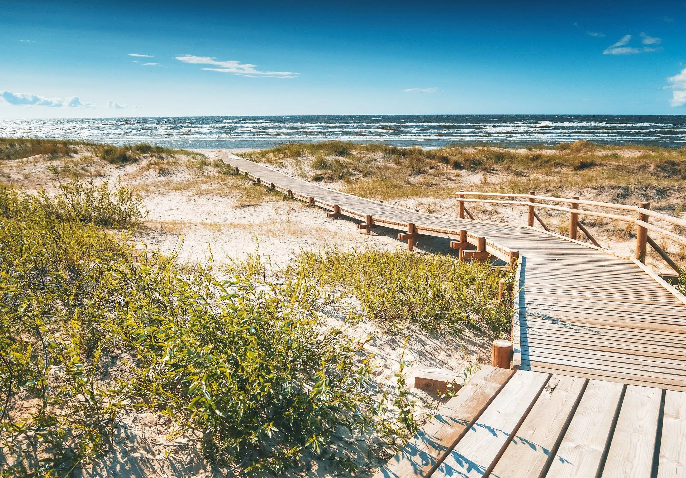 Billede 6 af Fototapet - Træpromenade over sandklitter ved havet