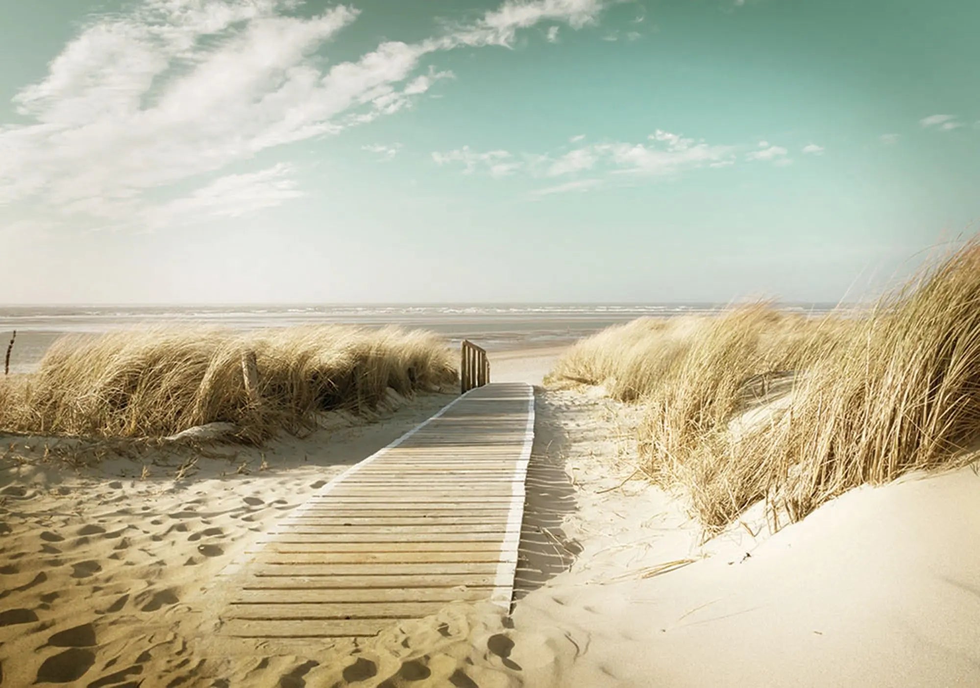 Billede 1 af Fototapet - Træsti gennem klitter til sandstrand med blå himmel