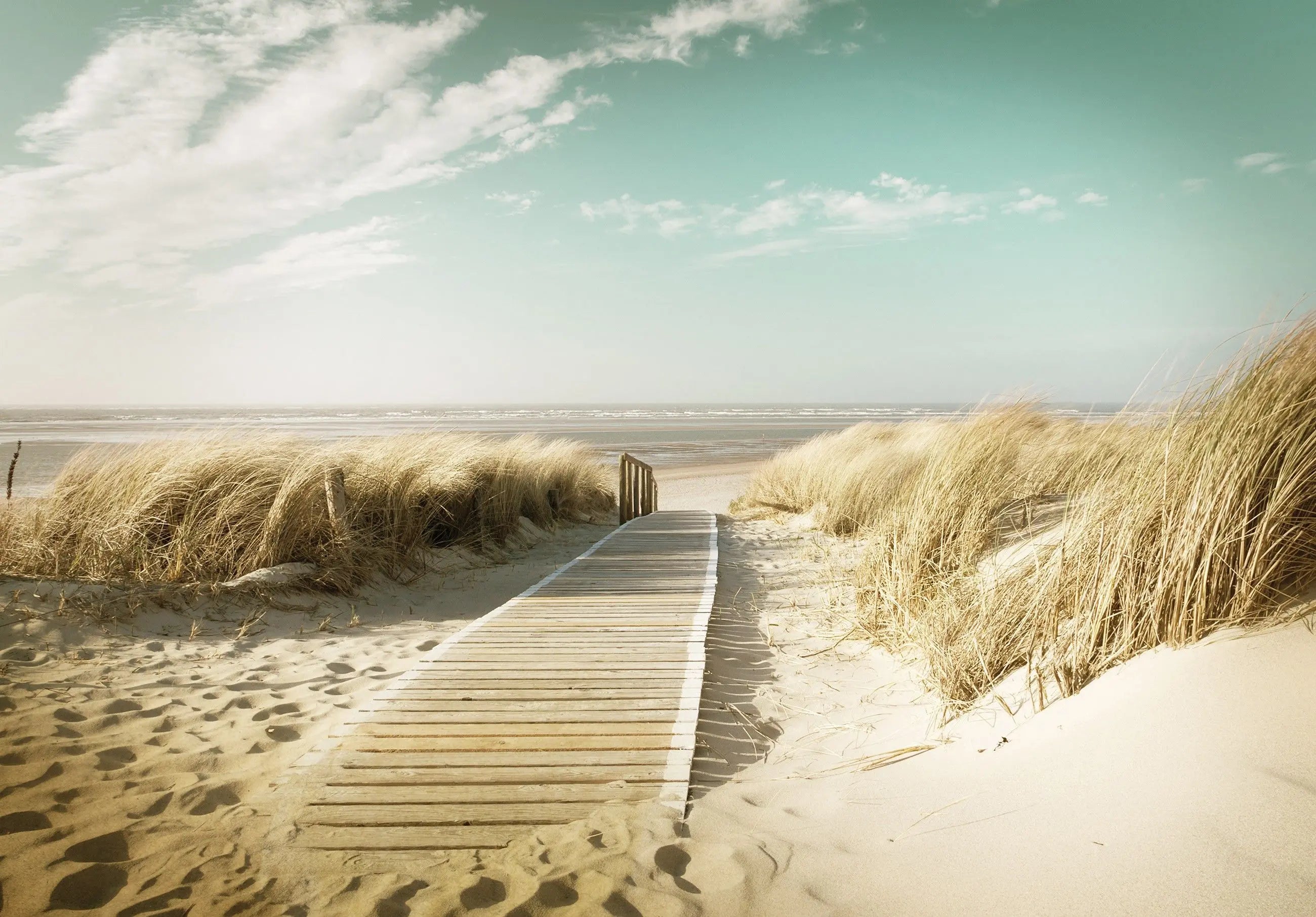 Billede 4 af Fototapet - Træsti gennem klitter til sandstrand med blå himmel