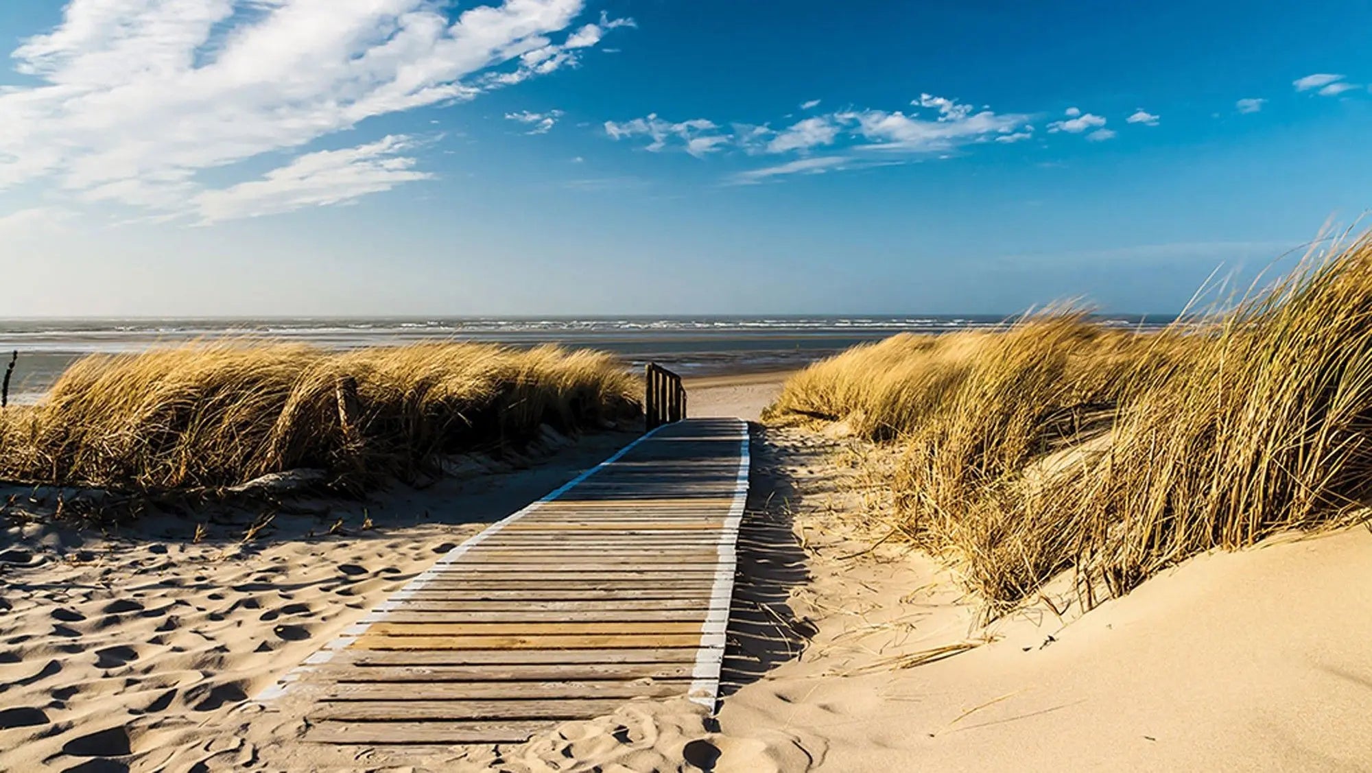 Billede 1 af Fototapet - Træsti gennem klitter til strand under blå himmel