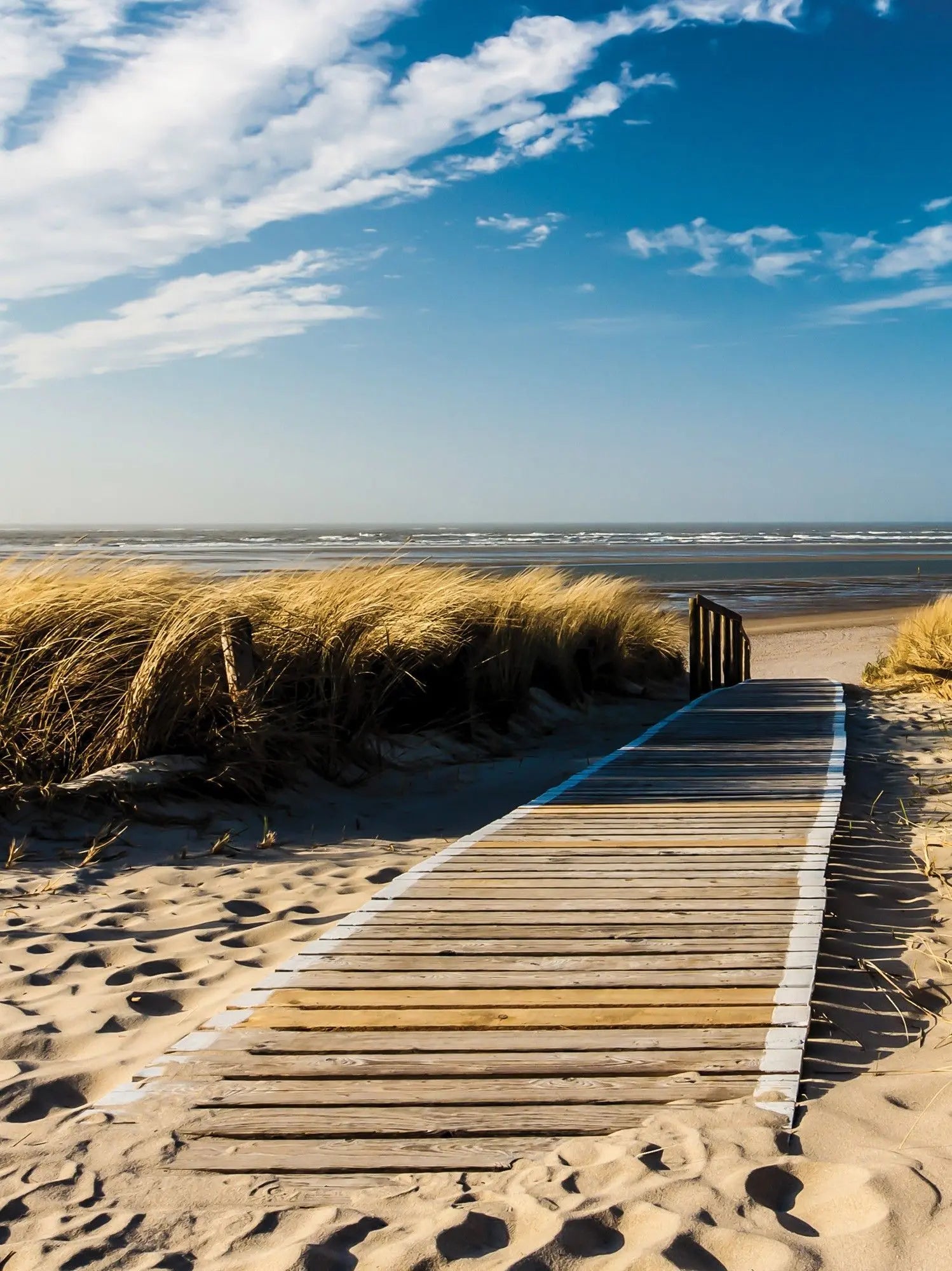 Billede 7 af Fototapet - Træsti gennem klitter til strand under blå himmel