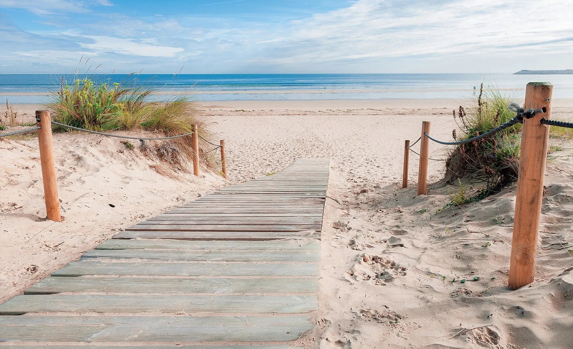 Billede 1 af Fototapet - Træsti på sandstrand med udsigt til havet