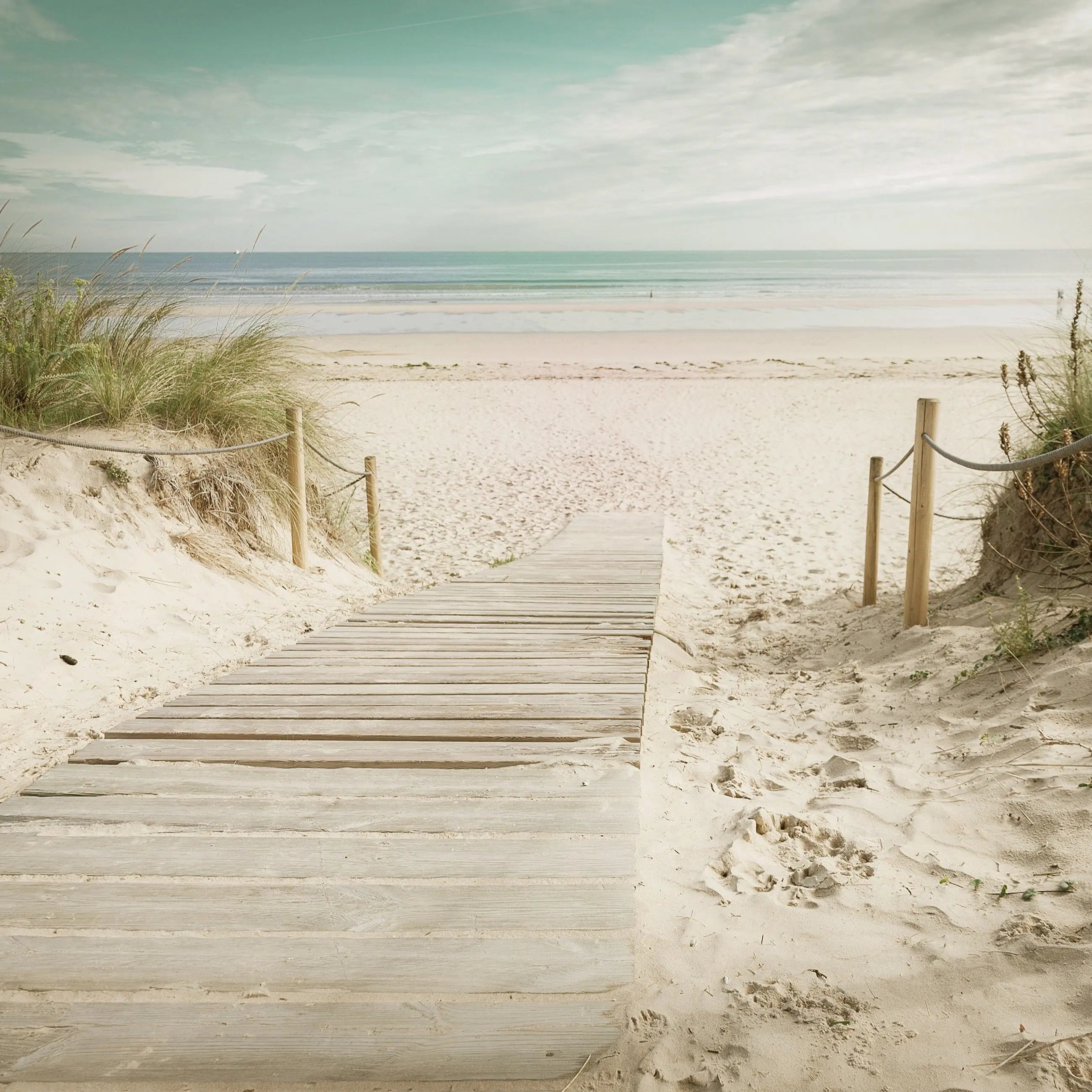 Billede 10 af Fototapet - Træsti til sandstrand med hav og himmel