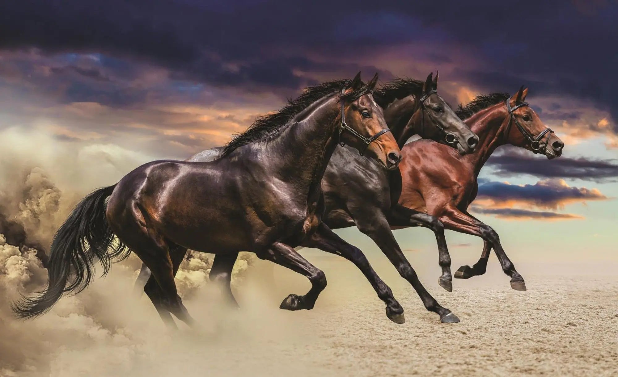 Billede 2 af Fototapet - Tre galopperende heste på sand med dramatiske skyer