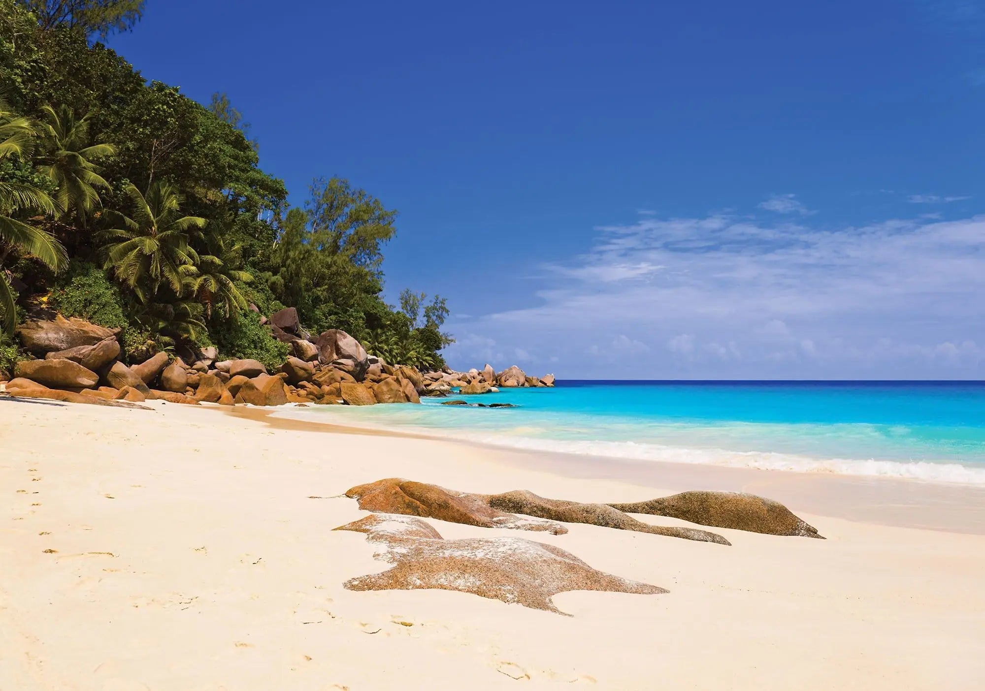 Billede 1 af Fototapet - Tropisk strand med klipper og turkisblåt hav