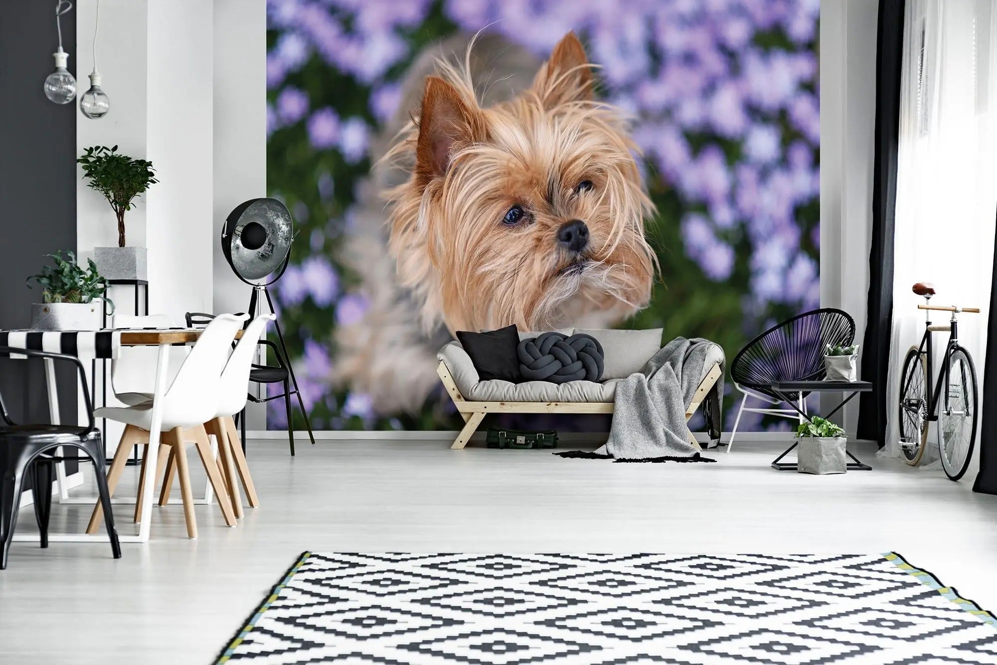 Billede 4 af Fototapet - Yorkshire terrier blandt lilla blomster