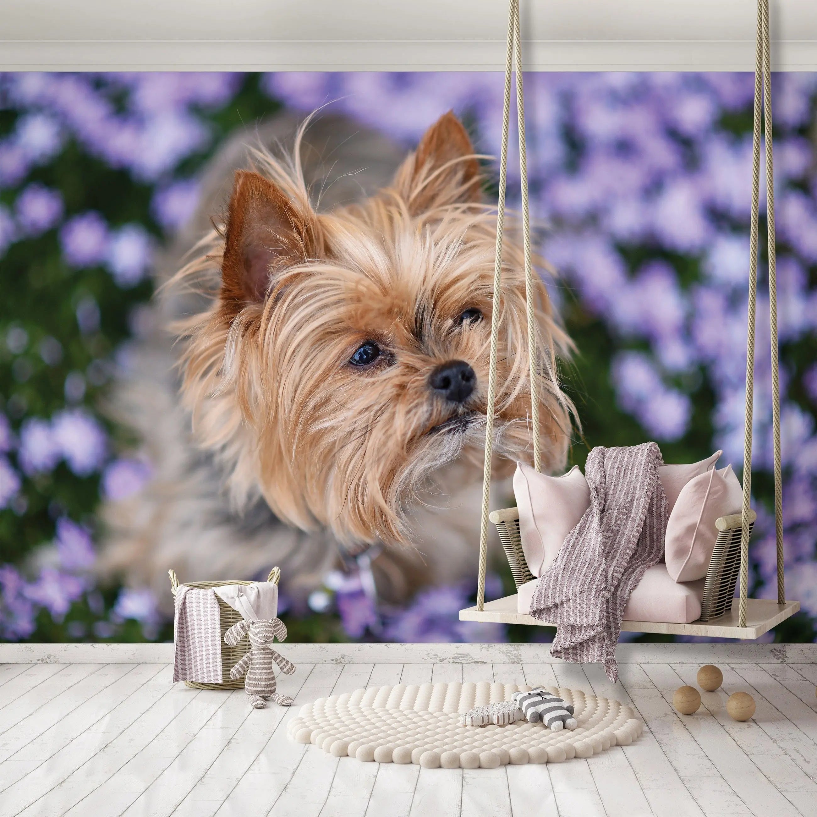 Billede 8 af Fototapet - Yorkshire terrier blandt lilla blomster