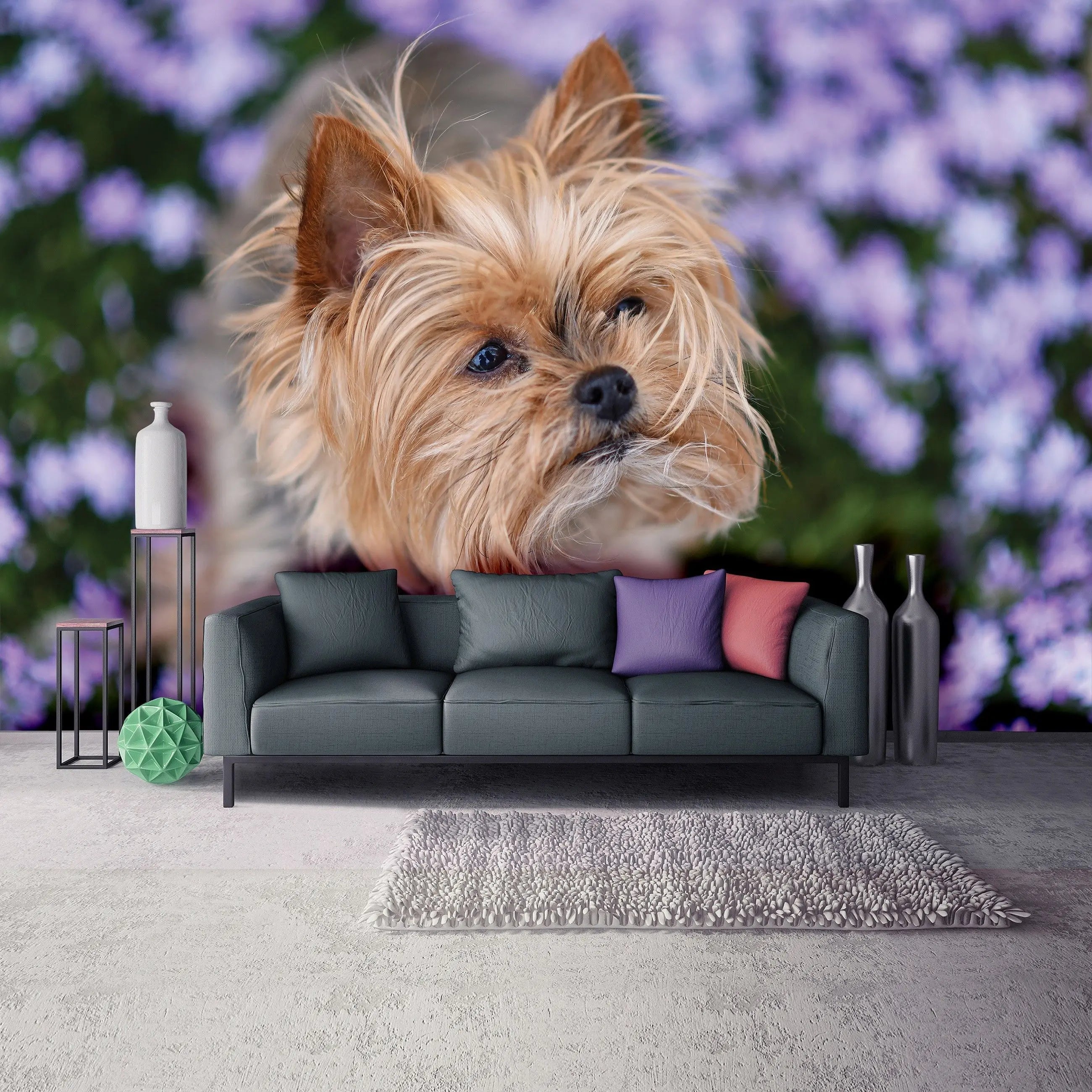 Billede 9 af Fototapet - Yorkshire terrier blandt lilla blomster