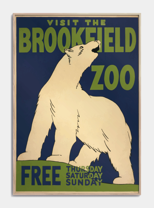 Zoo plakat Isbjørn 50 X 70cm. - Retro plakat med isbjørn