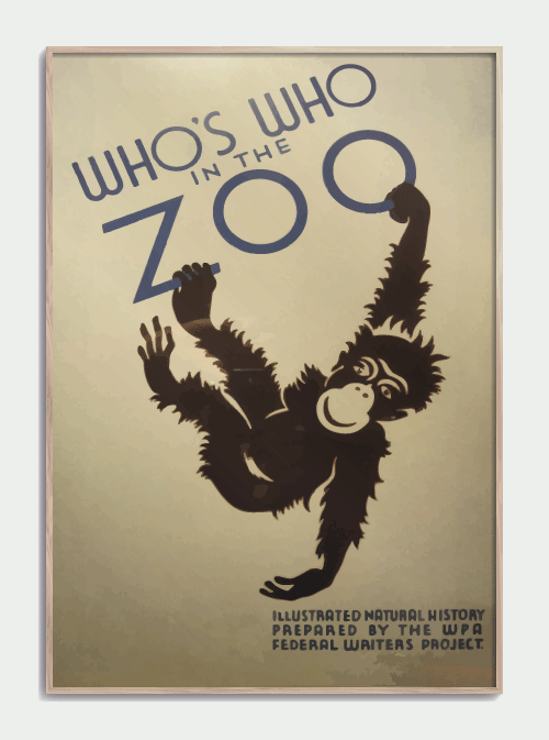 ZOO plakat Abe 50 X 70cm. - Køb flot retroplakat fra zoologisk have