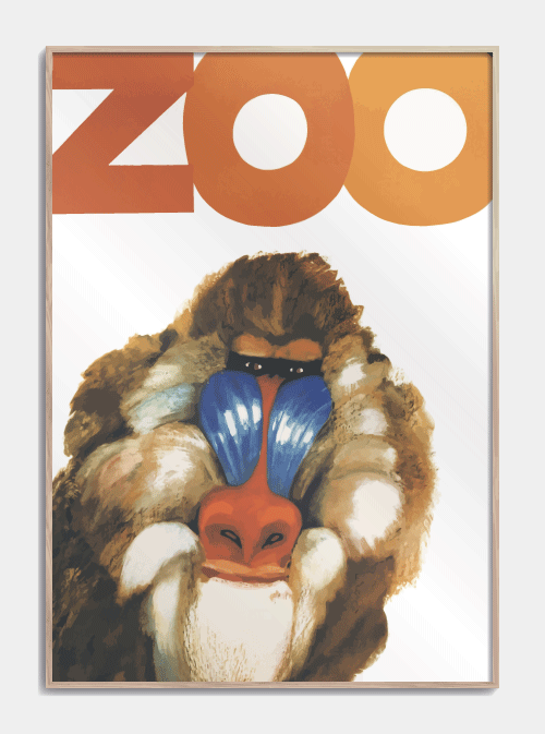 ZOO plakat Mandril / Bavian 50 X 70cm. - Køb plakater med ABE