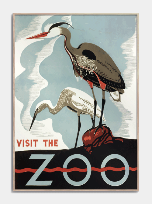 ZOO plakat med Stork / Hejre 50 X 70cm. - Køb Retro plakater her